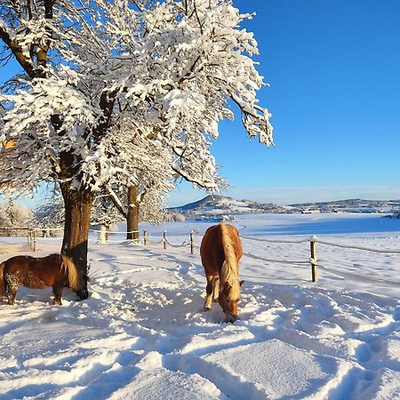 Bauernhofferien Oberduernberg Βίλα Seekirchen am Wallersee Εξωτερικό φωτογραφία