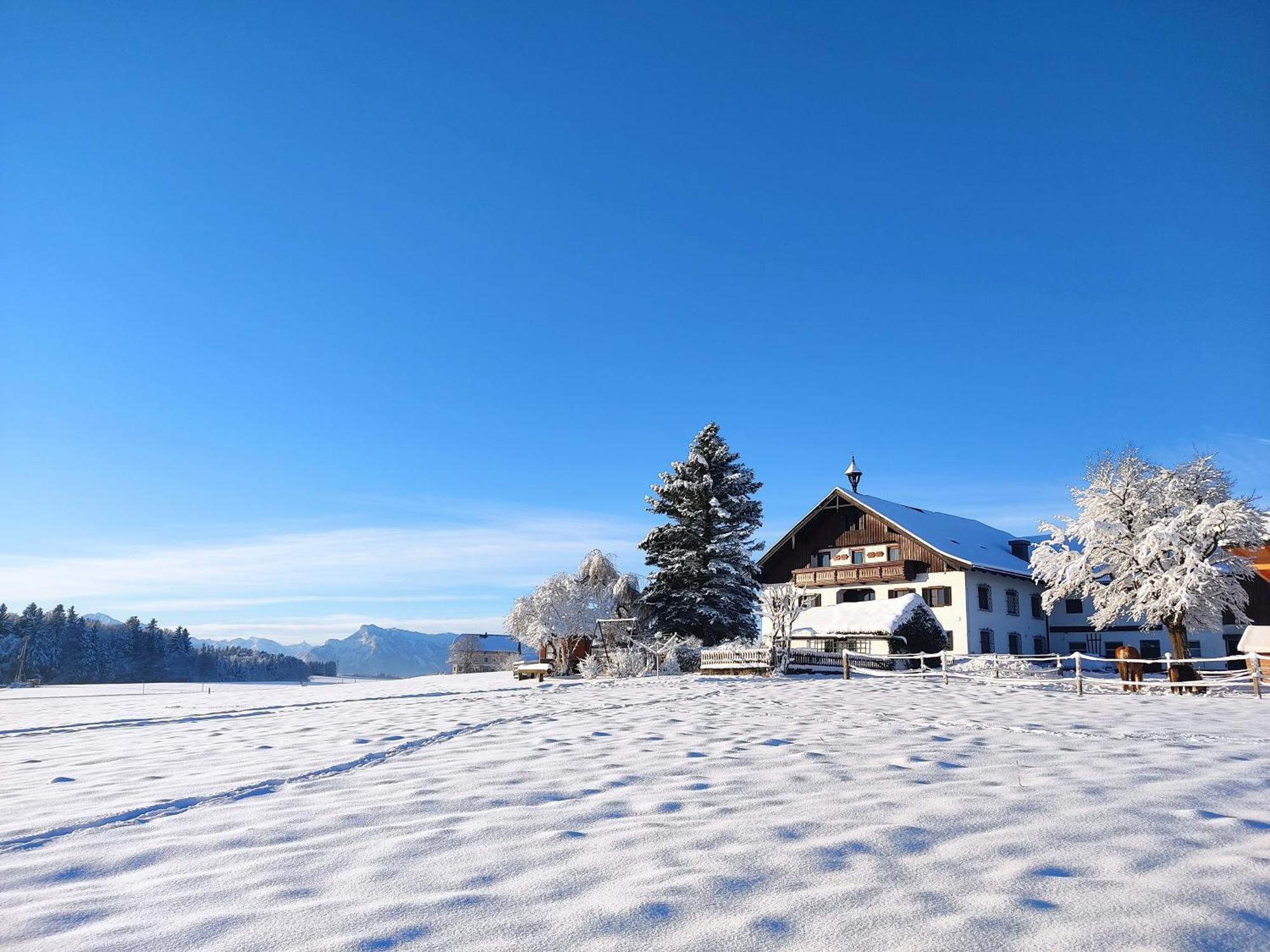 Bauernhofferien Oberduernberg Βίλα Seekirchen am Wallersee Εξωτερικό φωτογραφία